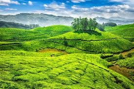  - Coorg 2 Night, Ooty 3 Night, Kodaikanal 2 Night