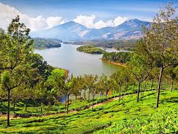  - Munnar 02 Night,  Thekkady 01 Night,  Kovalam 03 Night
