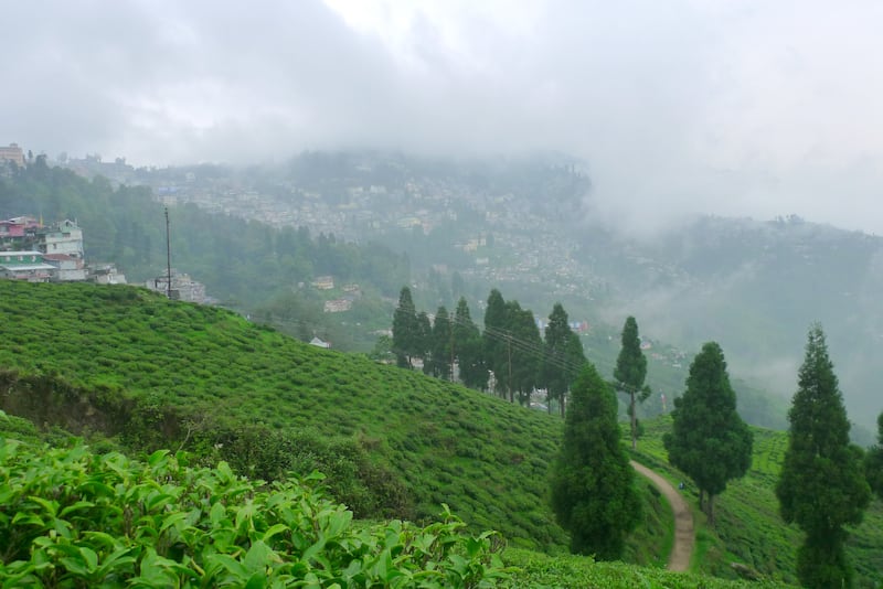  - Gangtok 03Night,Pelling 02Night,Darjeeling 02Night