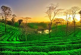  - 1N Guwahati,1N Nameri,1N Dirag,1N,2Night tawang,1N Bomdila,1N Kziranga,2N shilong,1N Cherrapunjee